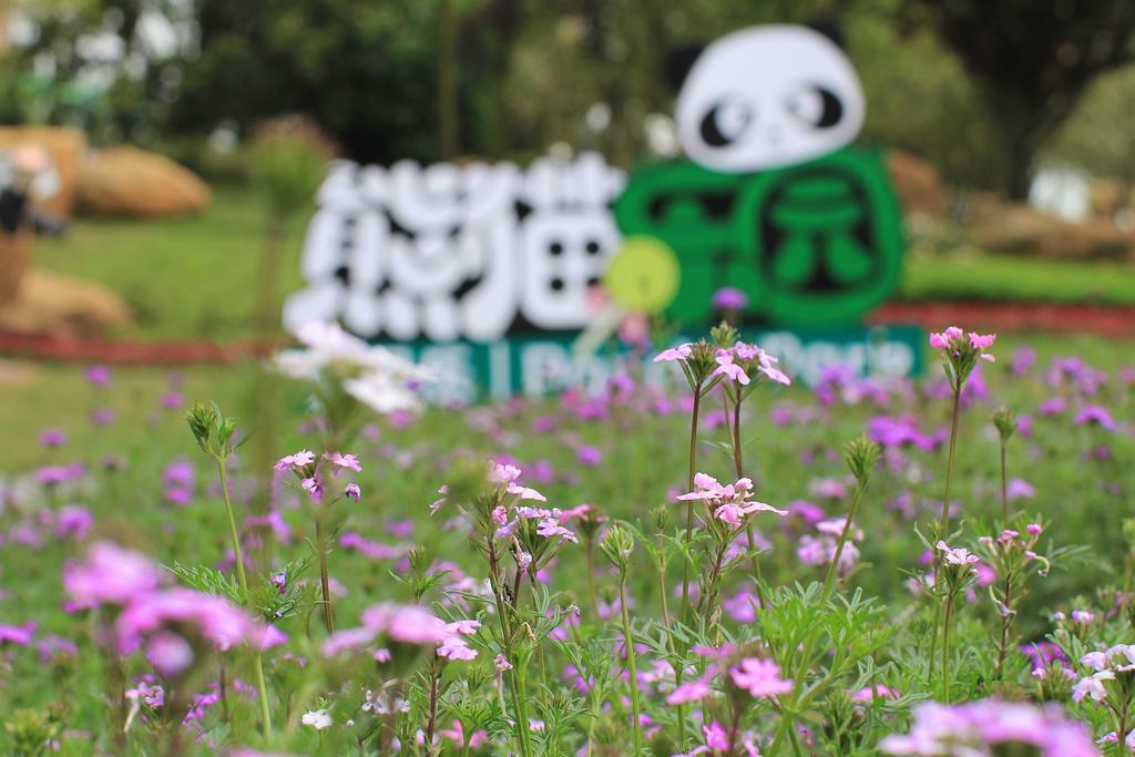 Howard Johnson Agile Plaza Chengdu Luaran gambar